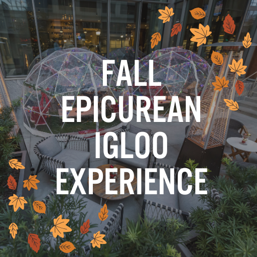 an outdoor igloo set outside a hotel for experiences