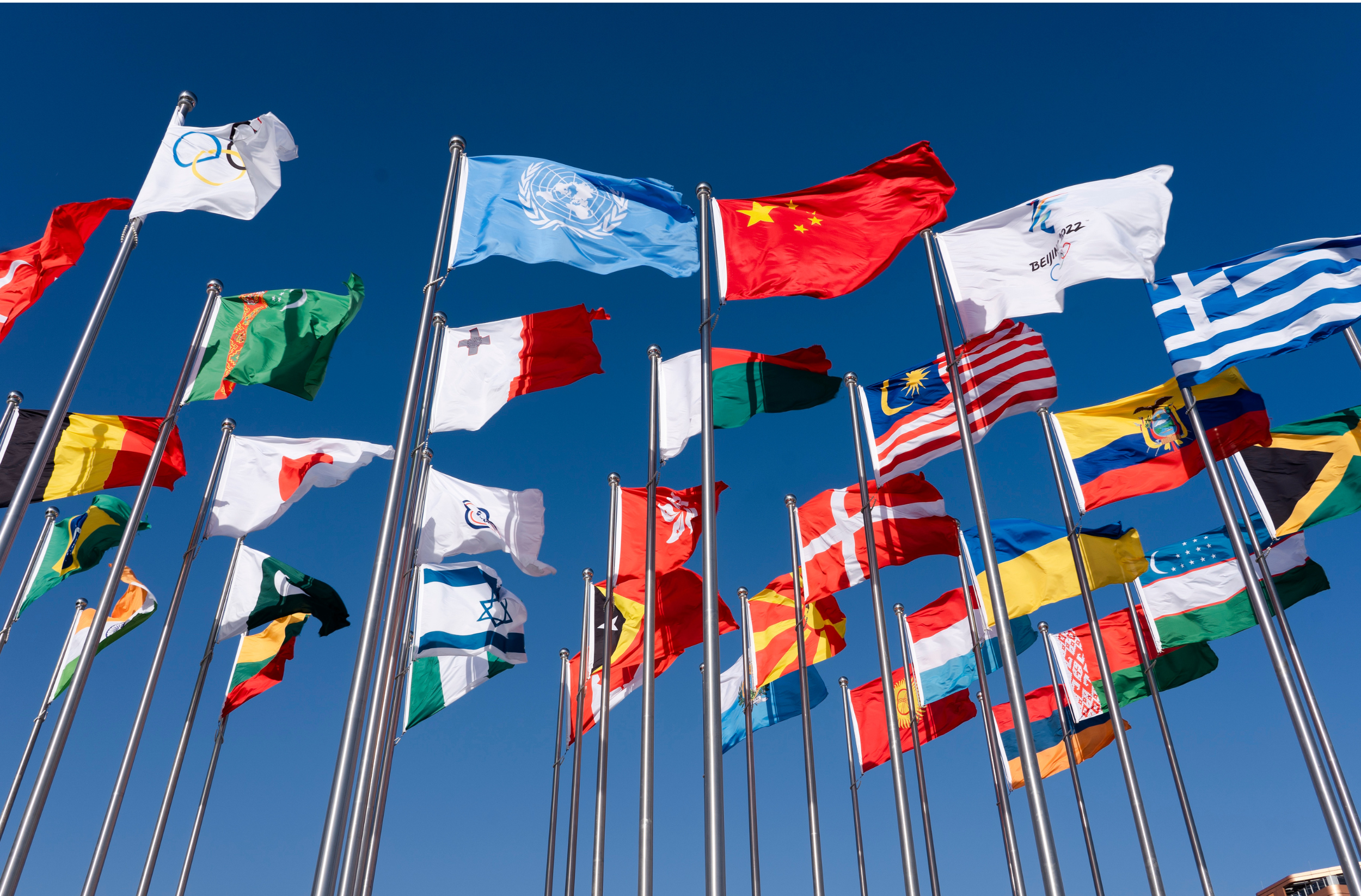 a group of international flags